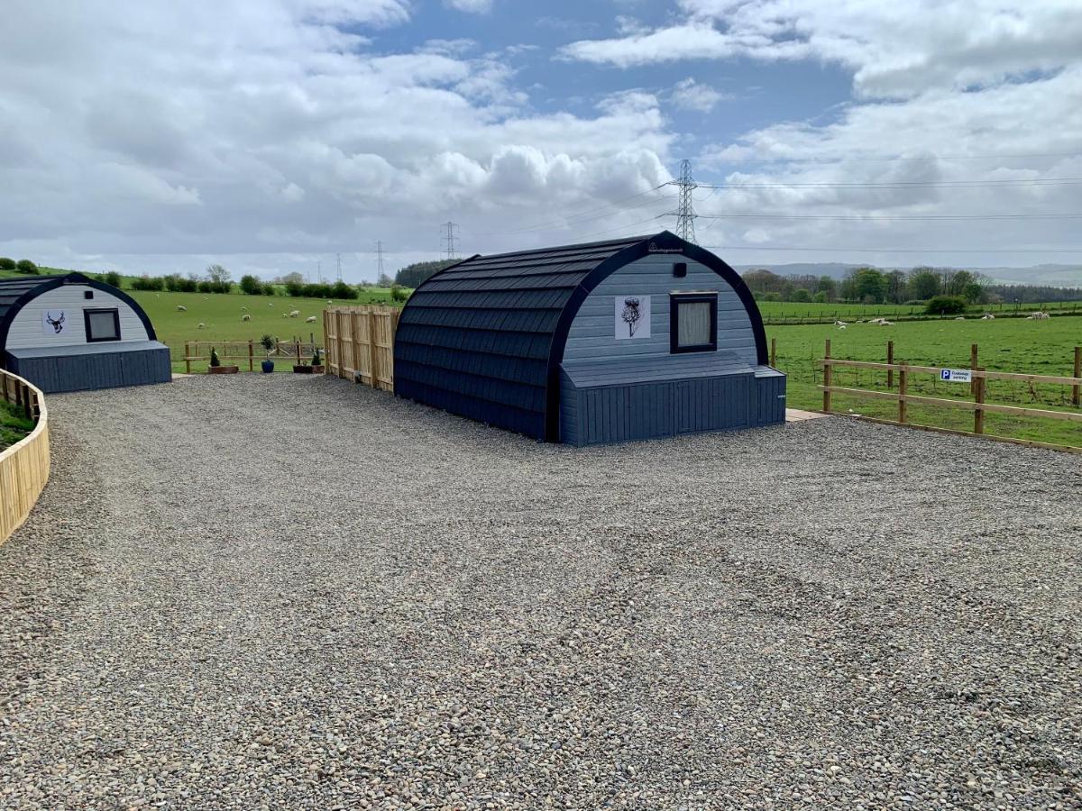 Thistle Pod Farm Stay With Hottub Sleeps 2 Galston  외부 사진
